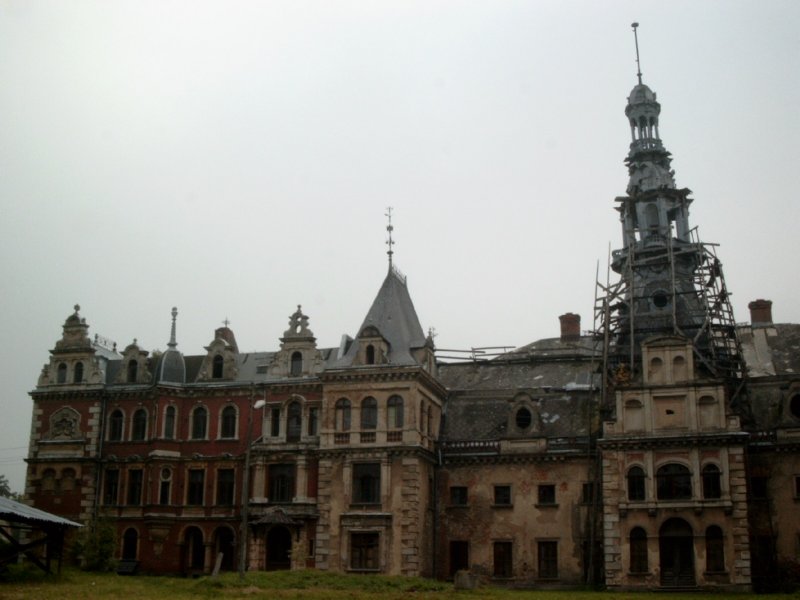 Photograph