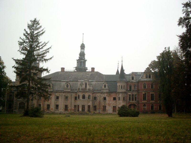 Photograph